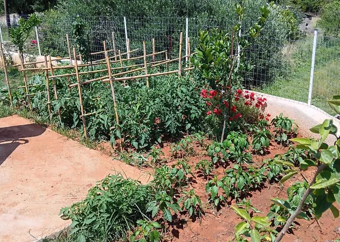 Σπίτι διακοπών Dervishi